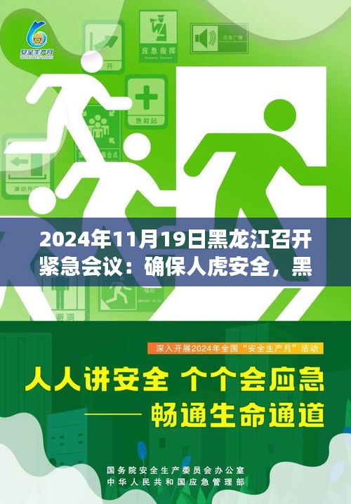 黑龙江召开紧急会议，携手共筑人虎安全防线，确保人与野生动物和谐共生（2024年11月19日深度洞察）