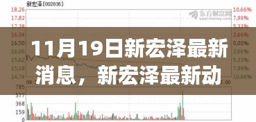 揭秘新宏泽11月19日最新动态与重磅消息