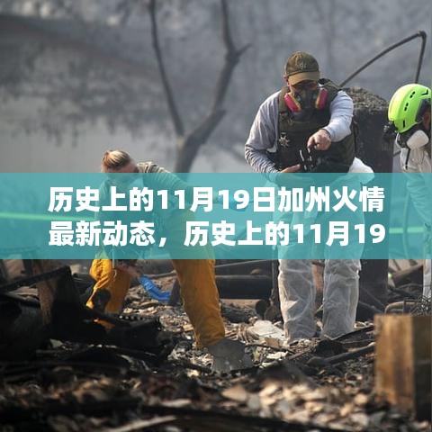 历史上的11月19日加州火情最新动态，全步骤应对与了解指南