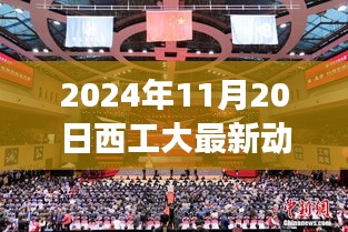 关于我们 第594页
