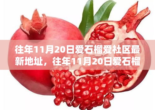 往年11月20日爱石榴爱社区最新地址揭秘，深度评测与详细介绍