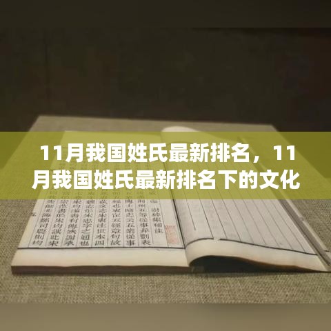 纲挈目张 第5页