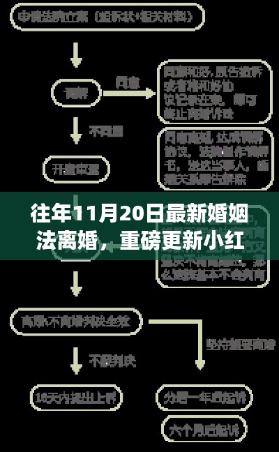 最新婚姻法离婚指南，小红书分享离婚流程，把握权益！