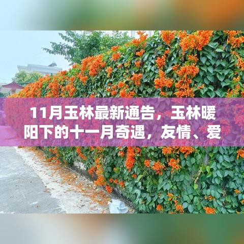 鸢飞戾天 第5页