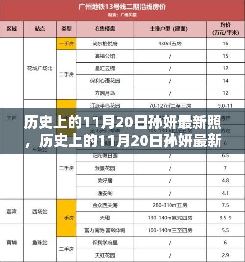 历史上的11月20日孙妍最新照，全面评测与详细介绍