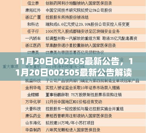 11月20日002505最新公告详解与观点阐述