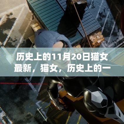 猫女历史上的特殊日子，11月20日的深远影响与最新动态