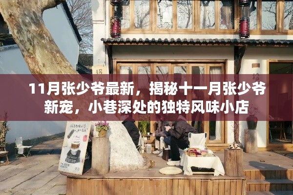张弛不定 第5页