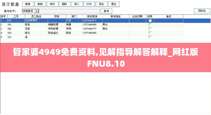 管家婆4949免费资料,见解指导解答解释_网红版FNU8.10