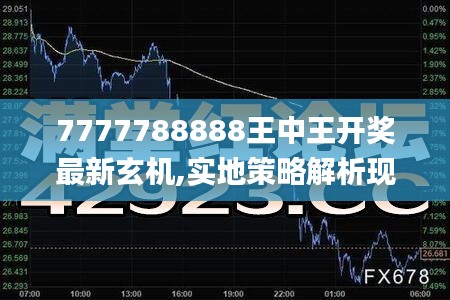 7777788888王中王开奖最新玄机,实地策略解析现象_时空版ARD7.30
