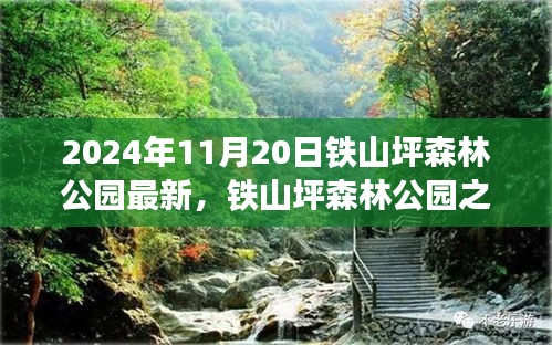 铁山坪森林公园之旅，探寻自然怀抱与内心宁静的秘境（2024年11月20日最新报道）