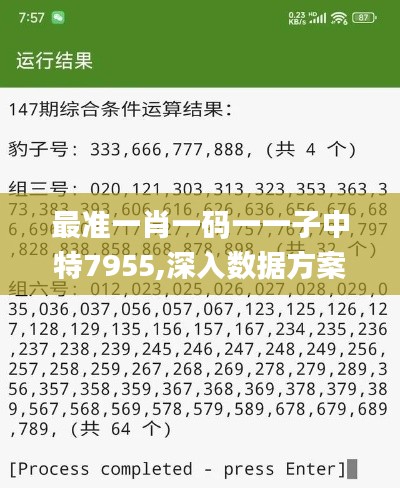 最准一肖一码一一子中特7955,深入数据方案执行_程序版SOQ4.21