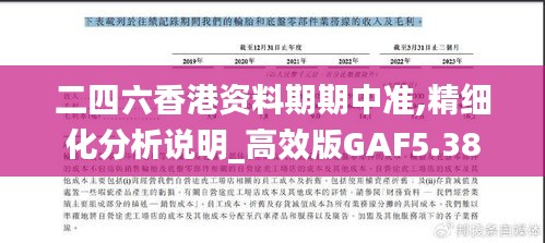 二四六香港资料期期中准,精细化分析说明_高效版GAF5.38