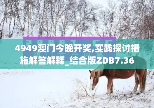 4949澳门今晚开奖,实践探讨措施解答解释_结合版ZDB7.36