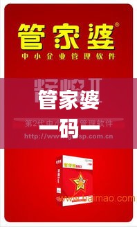 管家婆一码一肖一种大全,高效实施解答解释计划_启天境ZQM2.53