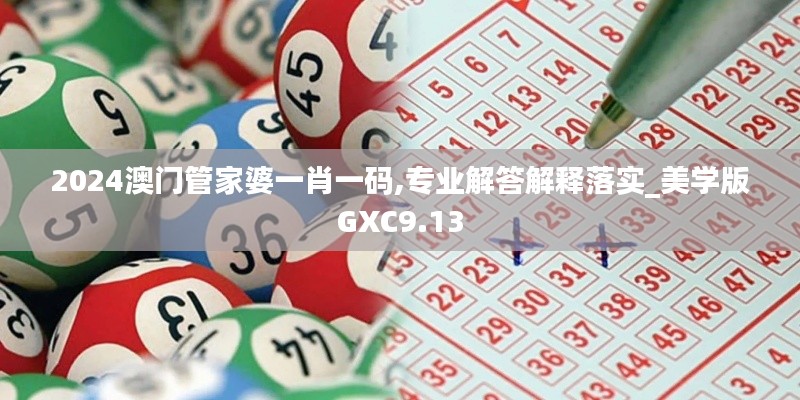 2024澳门管家婆一肖一码,专业解答解释落实_美学版GXC9.13