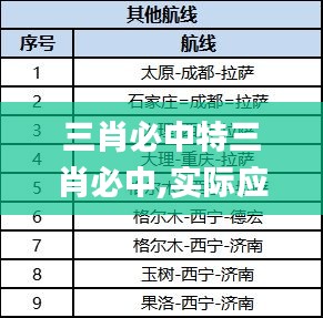 三肖必中特三肖必中,实际应用解析说明_珍藏版OXL8.48