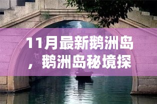 鹅洲岛秘境探索，巷弄深处的独特风味小店揭秘