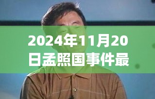 孟照国事件最新进展揭秘，隐藏瑰宝浮出水面（2024年最新报道）