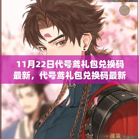 代号鸢礼包兑换码最新动态及争议解析