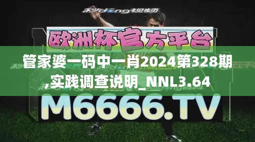 管家婆一码中一肖2024第328期,实践调查说明_NNL3.64