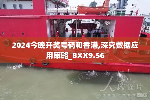 2024今晚开奖号码和香港,深究数据应用策略_BXX9.56