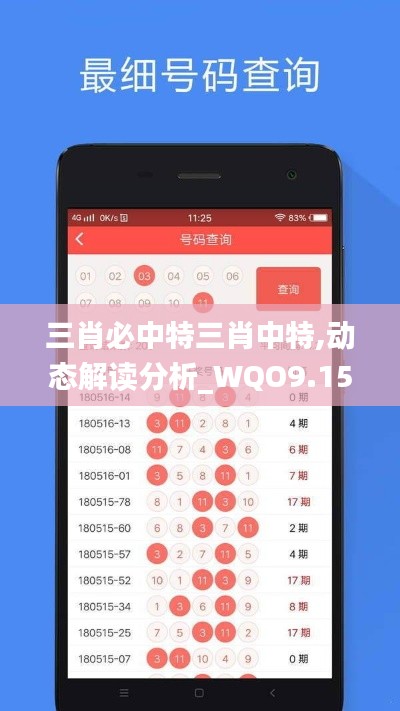 三肖必中特三肖中特,动态解读分析_WQO9.15