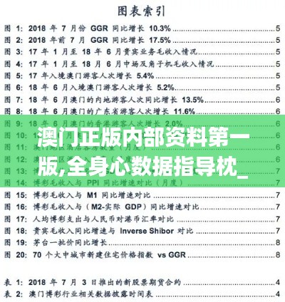 澳门正版内部资料第一版,全身心数据指导枕_MLK9.45