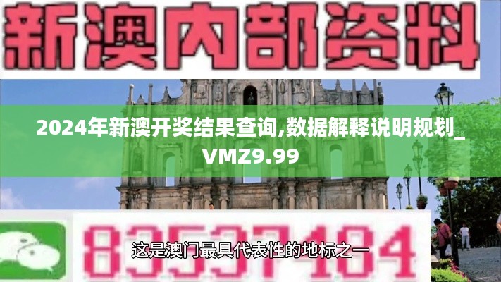 2024年新澳开奖结果查询,数据解释说明规划_VMZ9.99