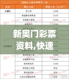 新奥门彩票资料,快速实施解答研究_OPZ9.58