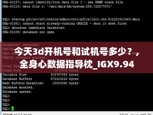 今天3d开机号和试机号多少？,全身心数据指导枕_IGX9.94