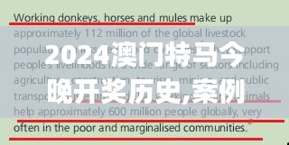 2024澳门特马今晚开奖历史,案例实证分析_HOR9.72