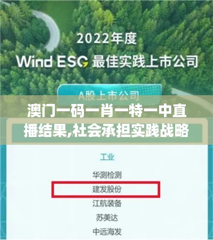 澳门一码一肖一特一中直播结果,社会承担实践战略_JAT9.75