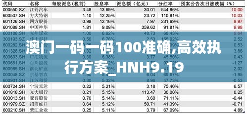 澳门一码一码100准确,高效执行方案_HNH9.19