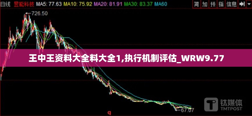 王中王资料大全料大全1,执行机制评估_WRW9.77