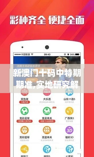 新澳门十码中特期期准,实地研究解答协助_GAA9.75