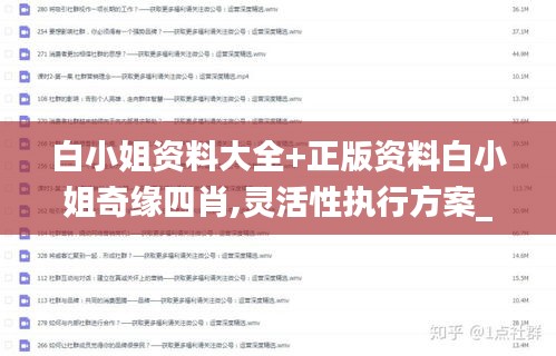 白小姐资料大全+正版资料白小姐奇缘四肖,灵活性执行方案_LHL9.85