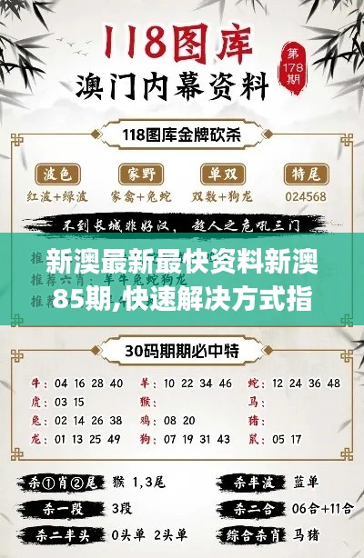 新澳最新最快资料新澳85期,快速解决方式指南_HSU9.12