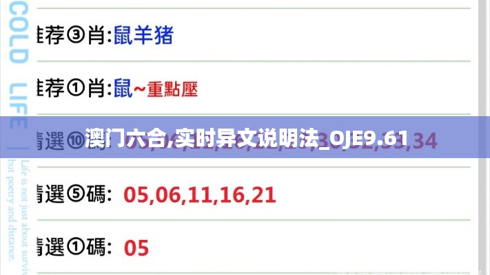 澳门六合,实时异文说明法_OJE9.61