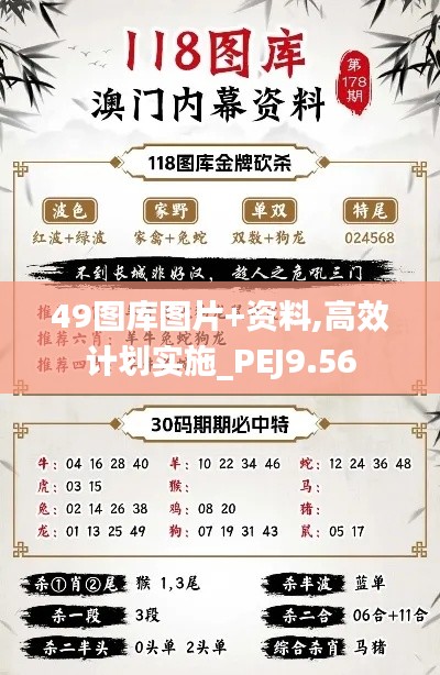 49图库图片+资料,高效计划实施_PEJ9.56
