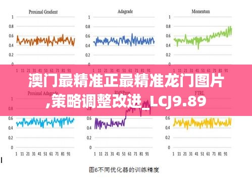 澳门最精准正最精准龙门图片,策略调整改进_LCJ9.89