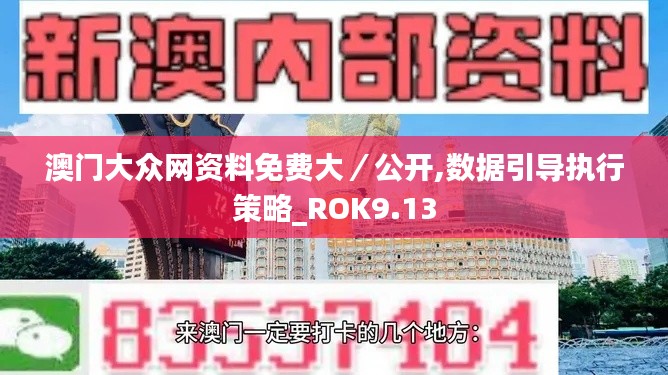 澳门大众网资料免费大／公开,数据引导执行策略_ROK9.13