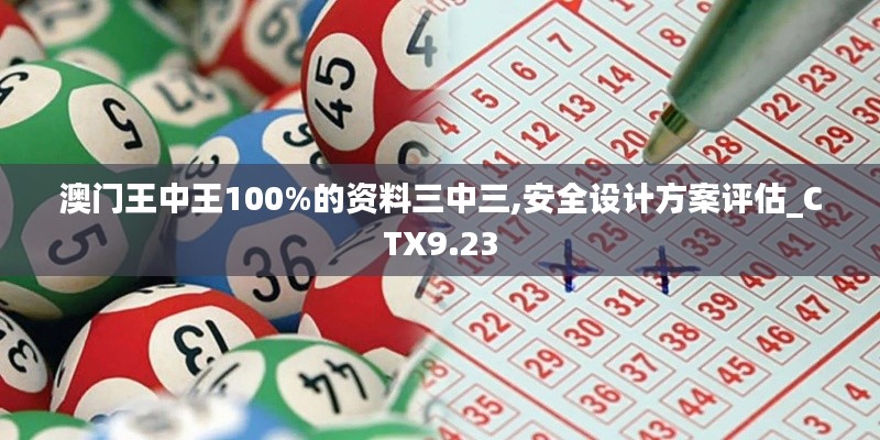澳门王中王100%的资料三中三,安全设计方案评估_CTX9.23