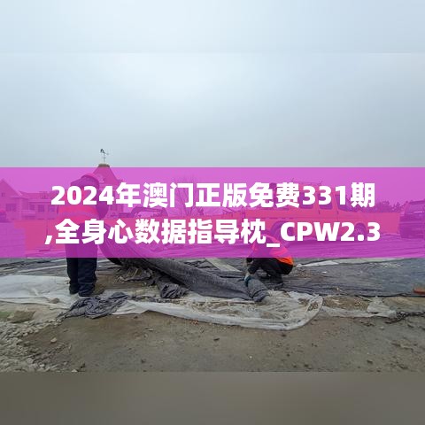 2024年澳门正版免费331期,全身心数据指导枕_CPW2.34