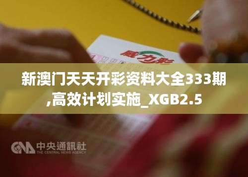 新澳门天天开彩资料大全333期,高效计划实施_XGB2.5