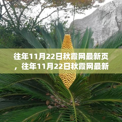 飞天遁地 第4页