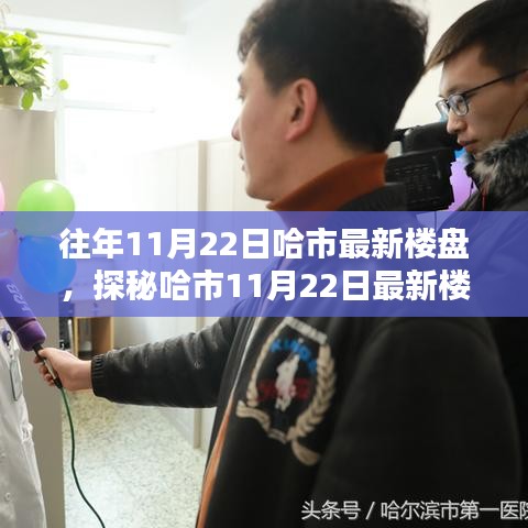 探秘哈尔滨11月22日最新楼盘，隐秘瑰宝与小巷特色小店全解析