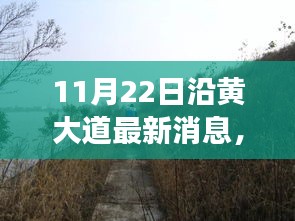 11月22日沿黄大道最新动态与全方位指南，初学者到进阶用户的必读资讯