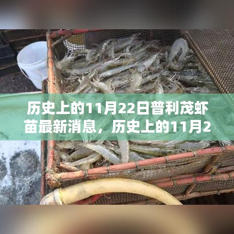 普利茂虾苗最新消息揭秘，历史上的11月22日动态回顾