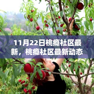 杳无音信 第5页